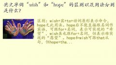 wish÷,Ӣĵʡwish͡hopeԼ÷ֱʲ