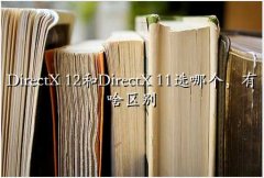 directx11ʲô